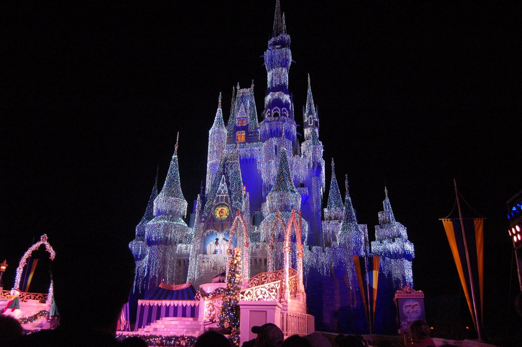Cinderella's castle light night Disney